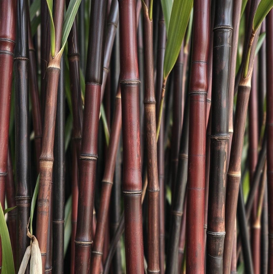 S7_無垠之境 香氛組|NT$6,080 - 果然萌膜