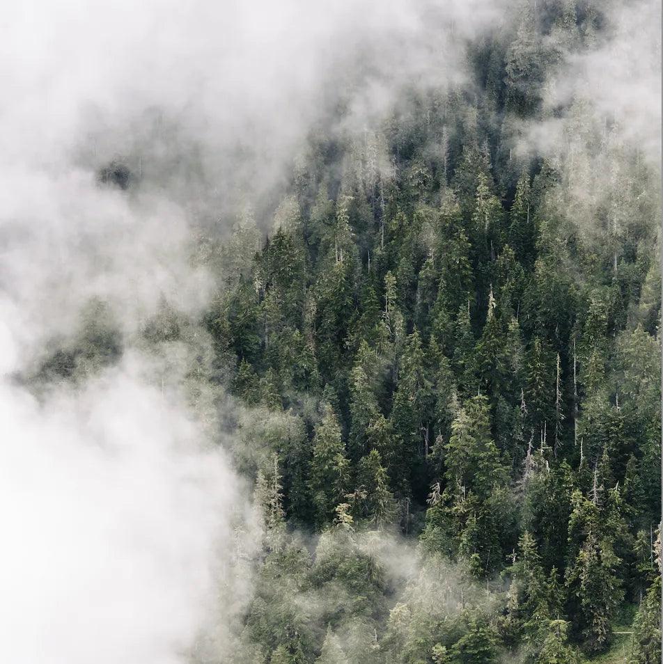 S7_無垠之境 香氛組|NT$6,080 - 果然萌膜