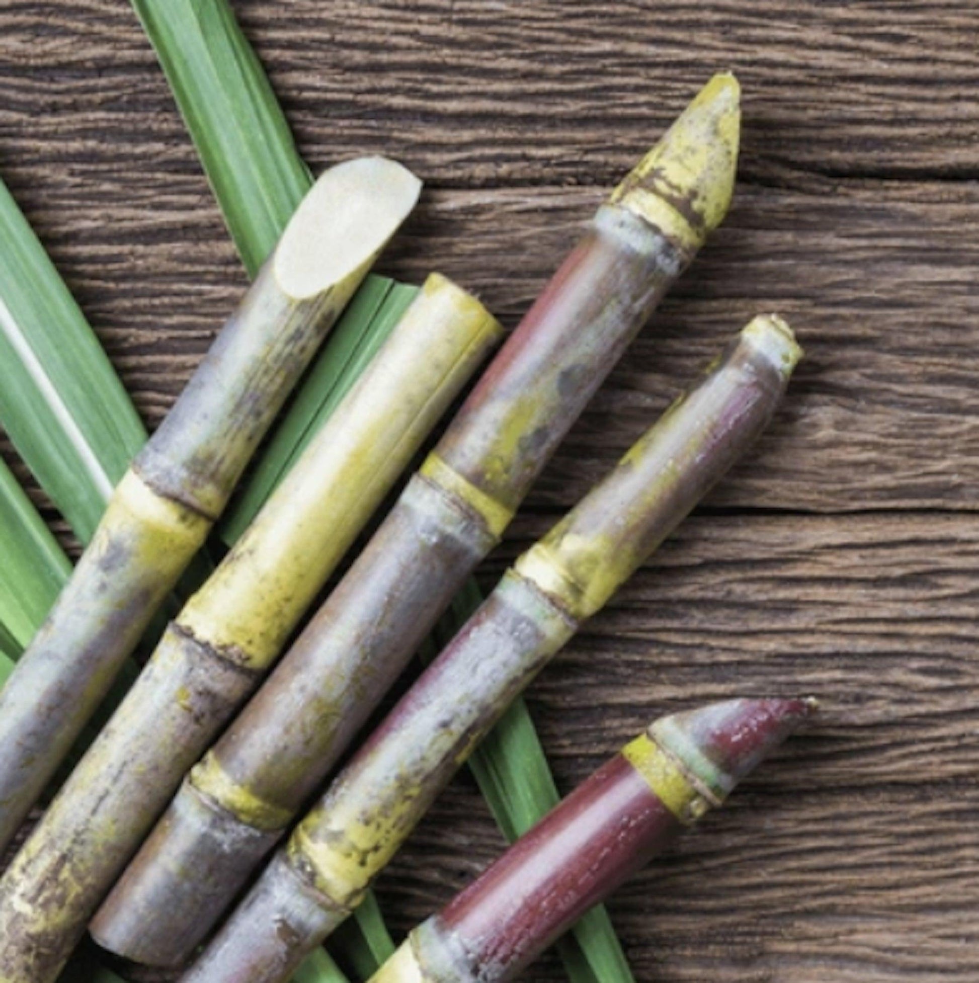 S4A_雲間呢喃 香氛組|NT$2,580 - 果然萌膜