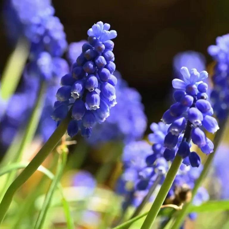 15_寧靜時刻|Níng Jìng_香氛蠟燭 - 果然萌膜