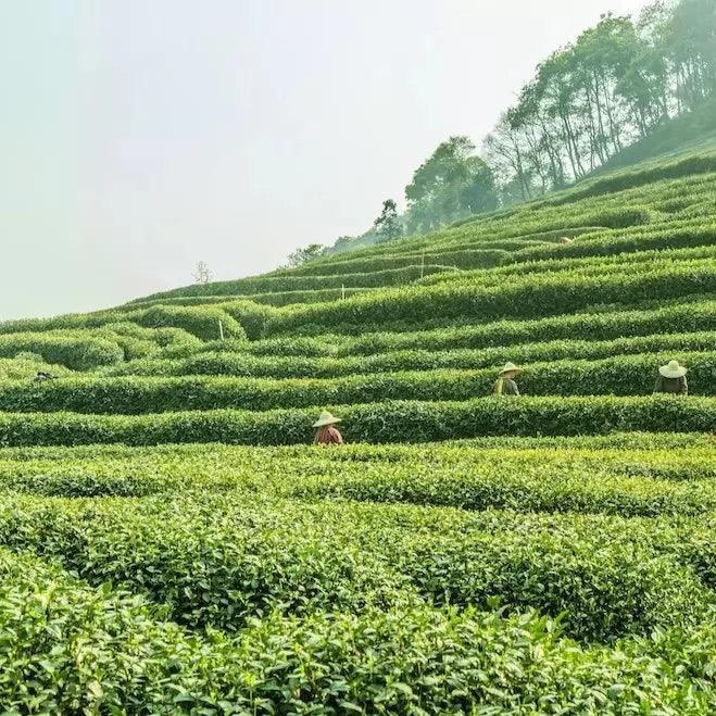 15_寧靜時刻|Níng Jìng_香氛蠟燭 - 果然萌膜