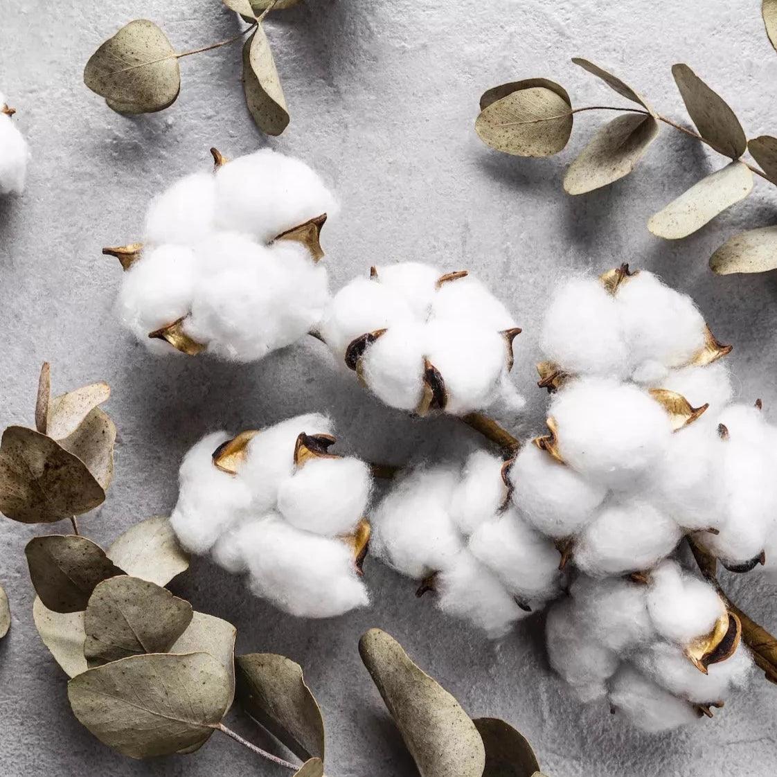 58_ 甘蔗棉|Cane Elegance_香氛蠟燭 - 果然萌膜